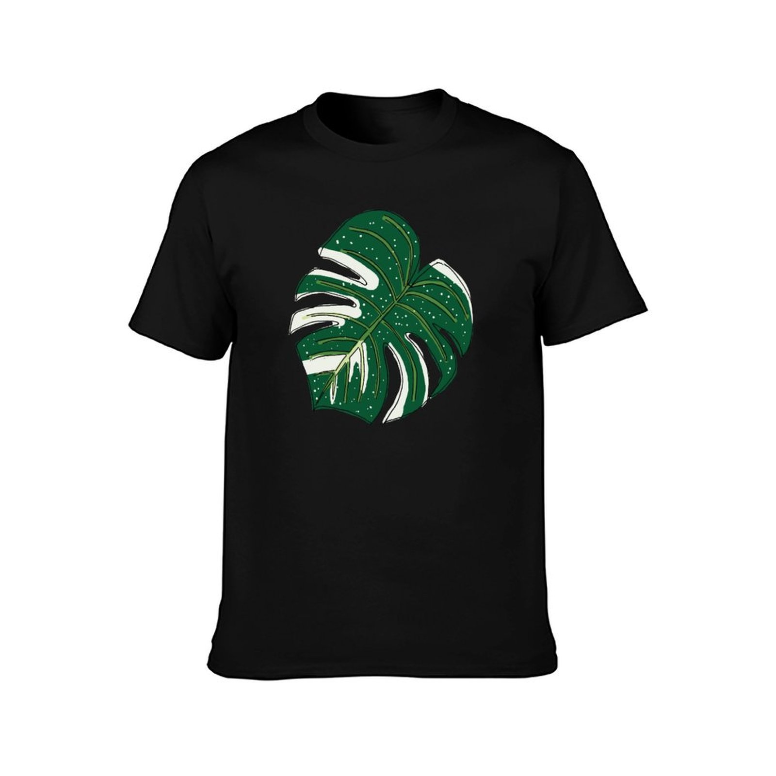 Monstera Thai Constellation T- – Monstera Thai Constellation Bewertung und Preis