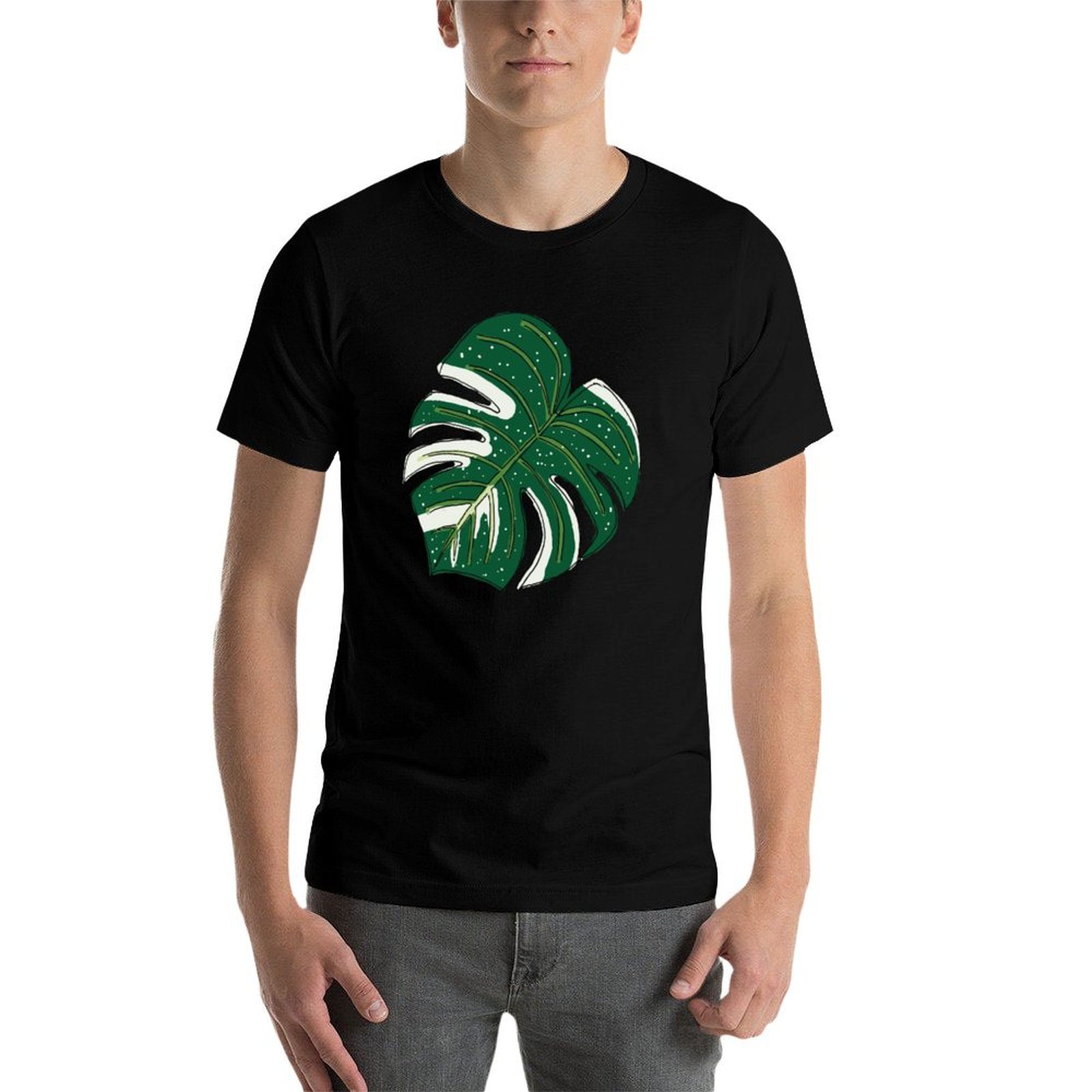 Monstera Thai Constellation T- – Monstera Thai Constellation Bewertung und Preis