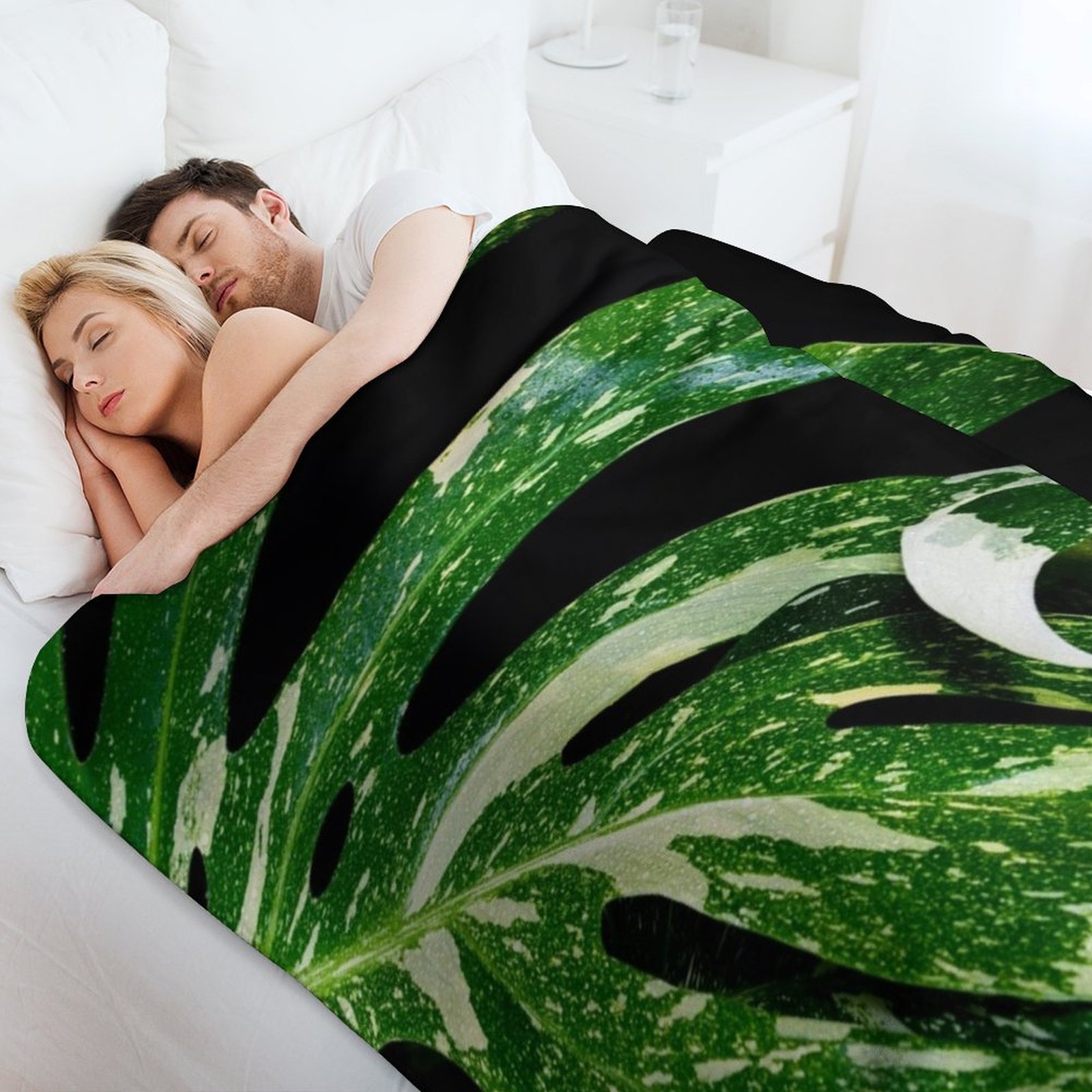 Monstera Thai Constellation Th – Monstera Thai Constellation Bewertung und Preis