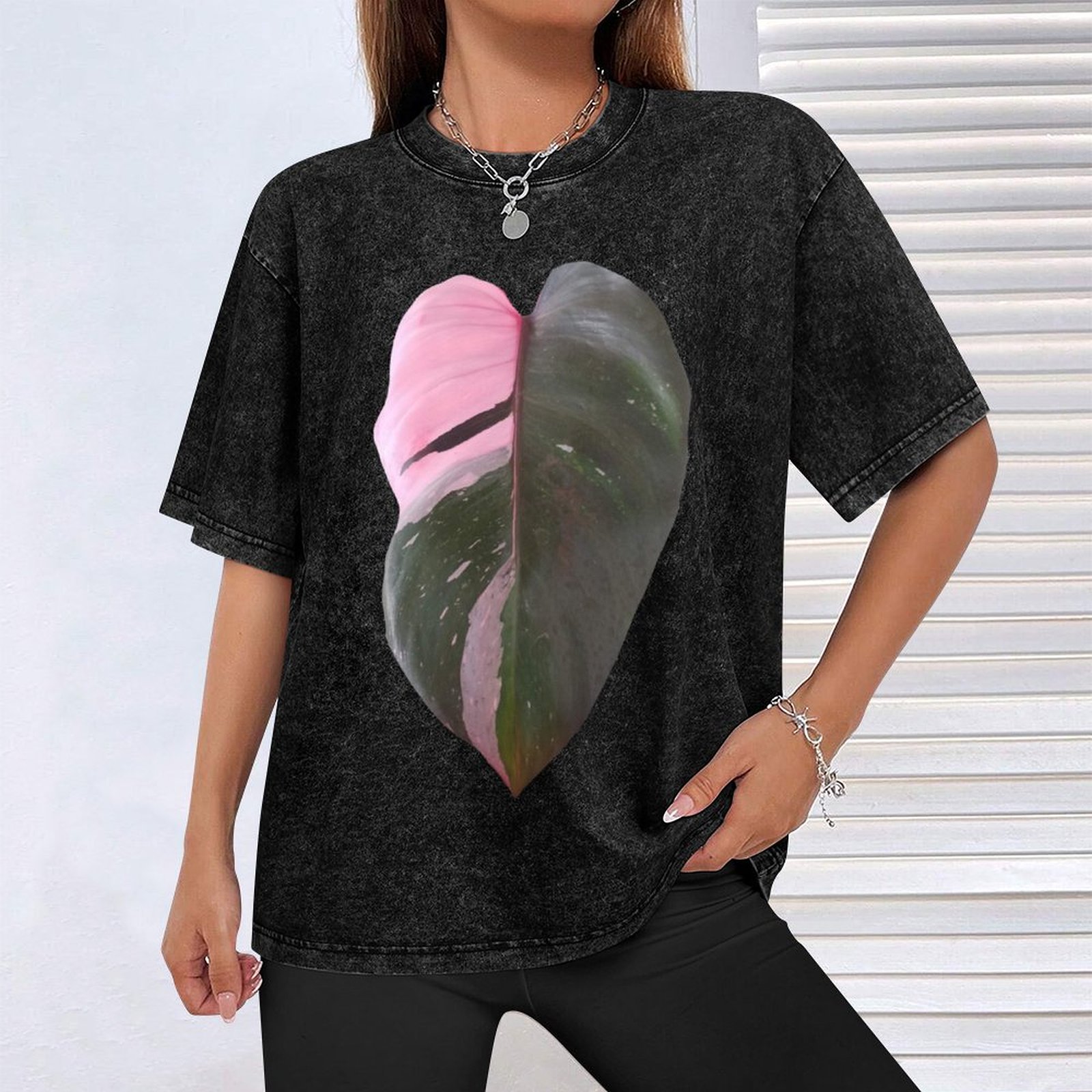 Pink Princess Philodendron Lea – Philodendron Pink Princess Bewertung und Preis