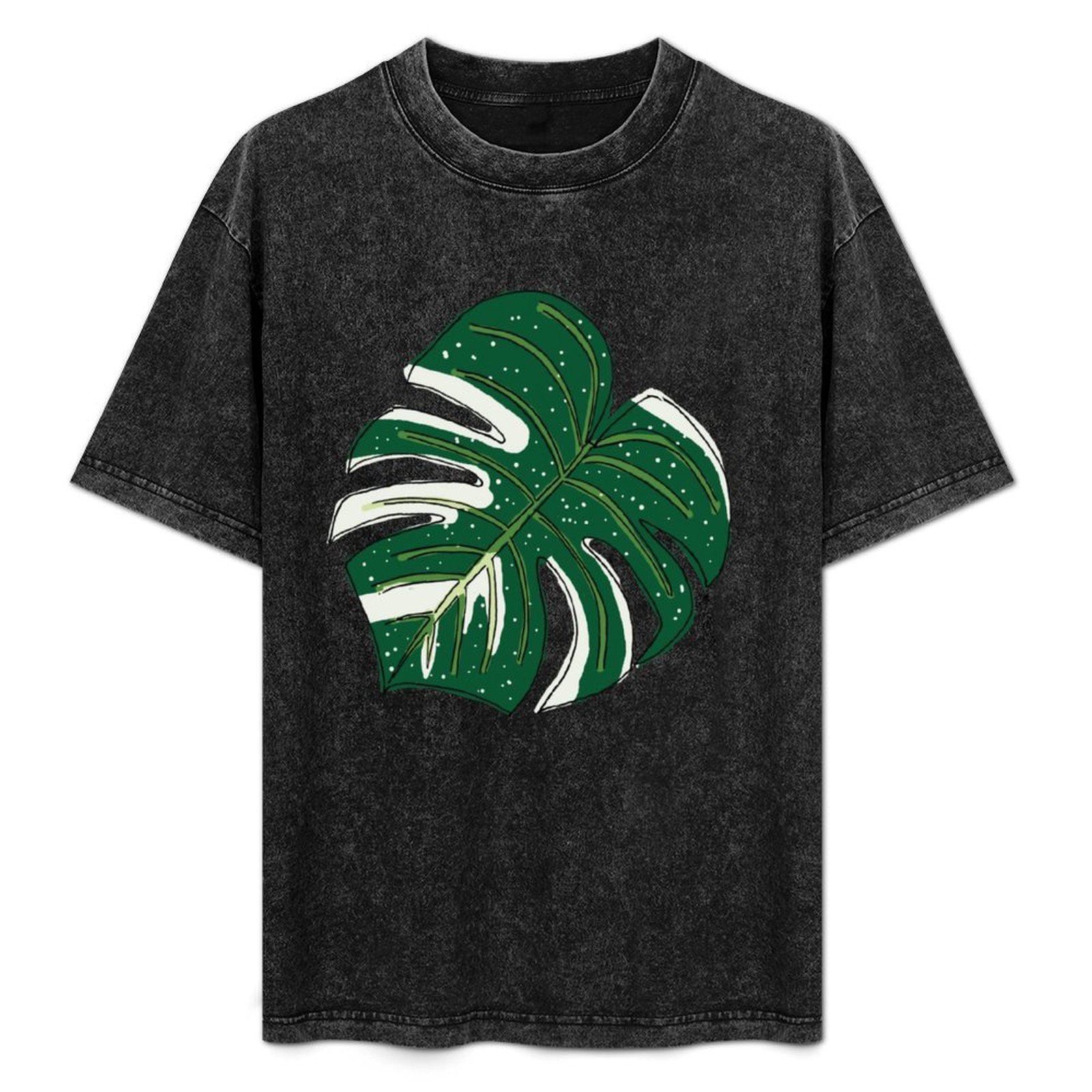 Monstera Thai Constellation T- – Monstera Thai Constellation Bewertung und Preis
