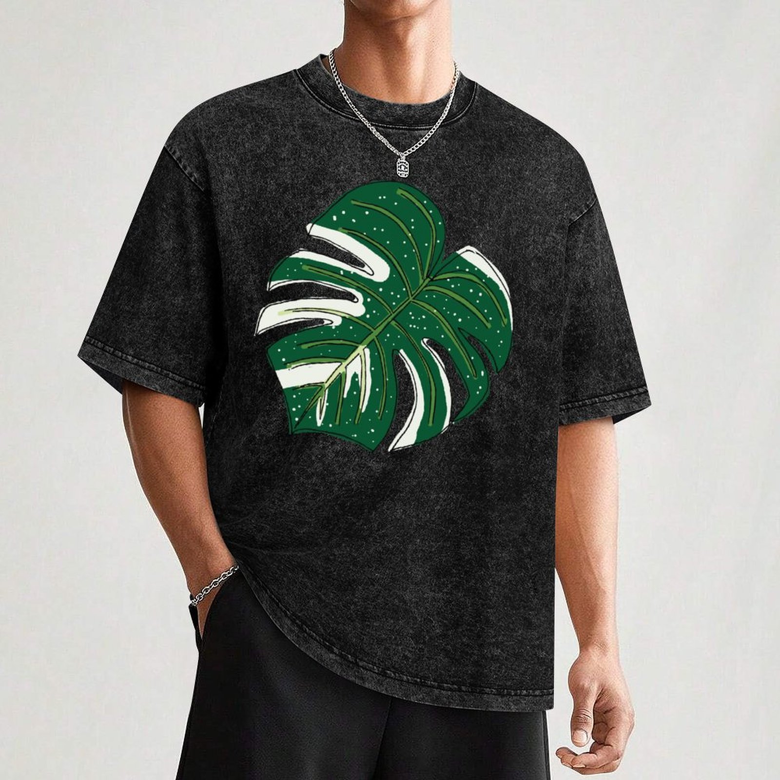 Monstera Thai Constellation T- – Monstera Thai Constellation Bewertung und Preis
