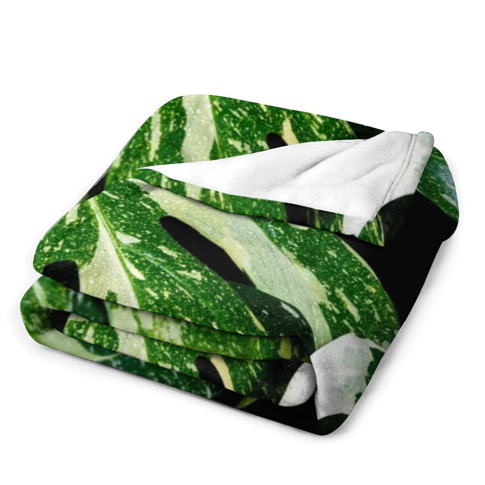 Monstera Thai Constellation Th – Monstera Thai Constellation Bewertung und Preis
