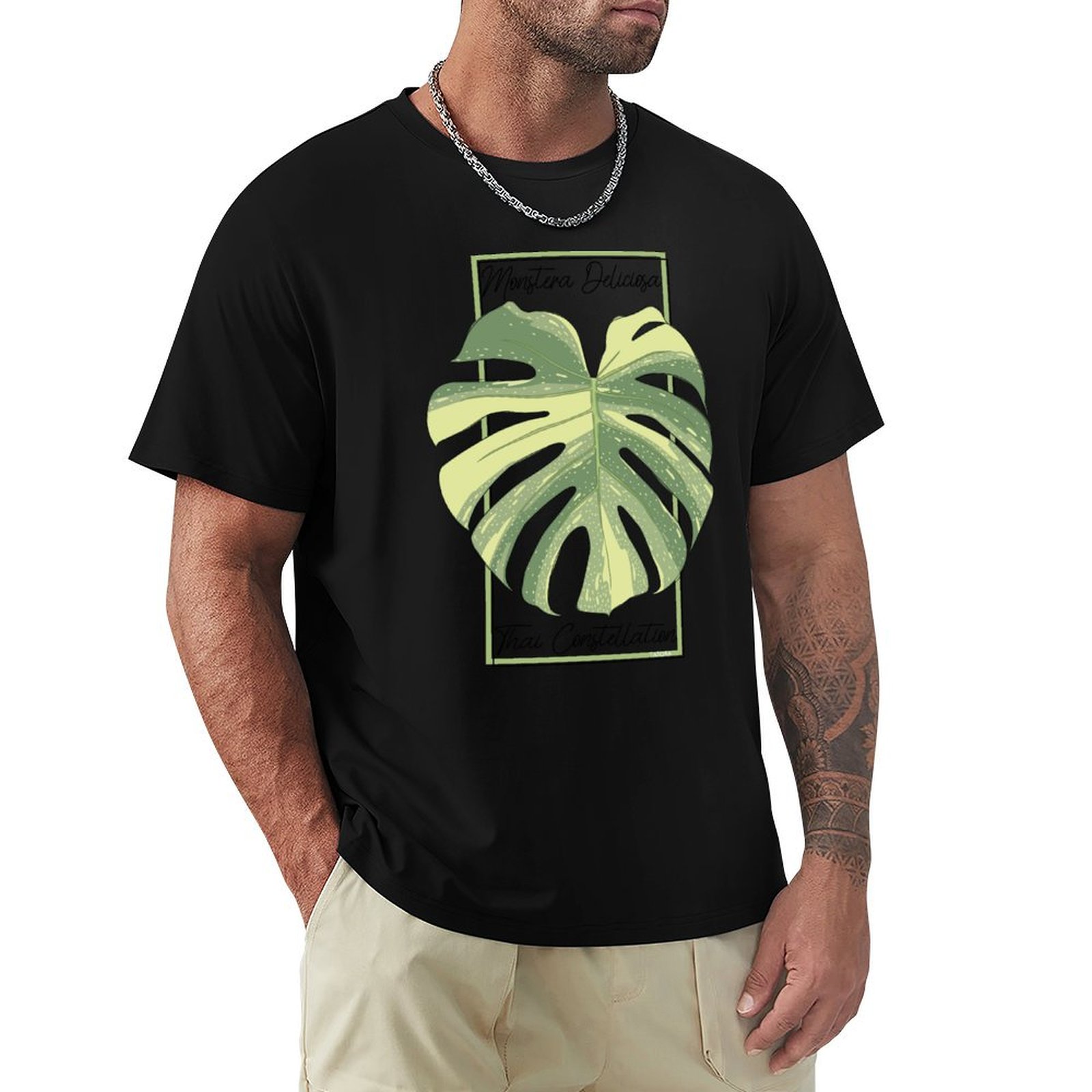 Monstera Thai Constellation Bo – Monstera Thai Constellation Bewertung und Preis