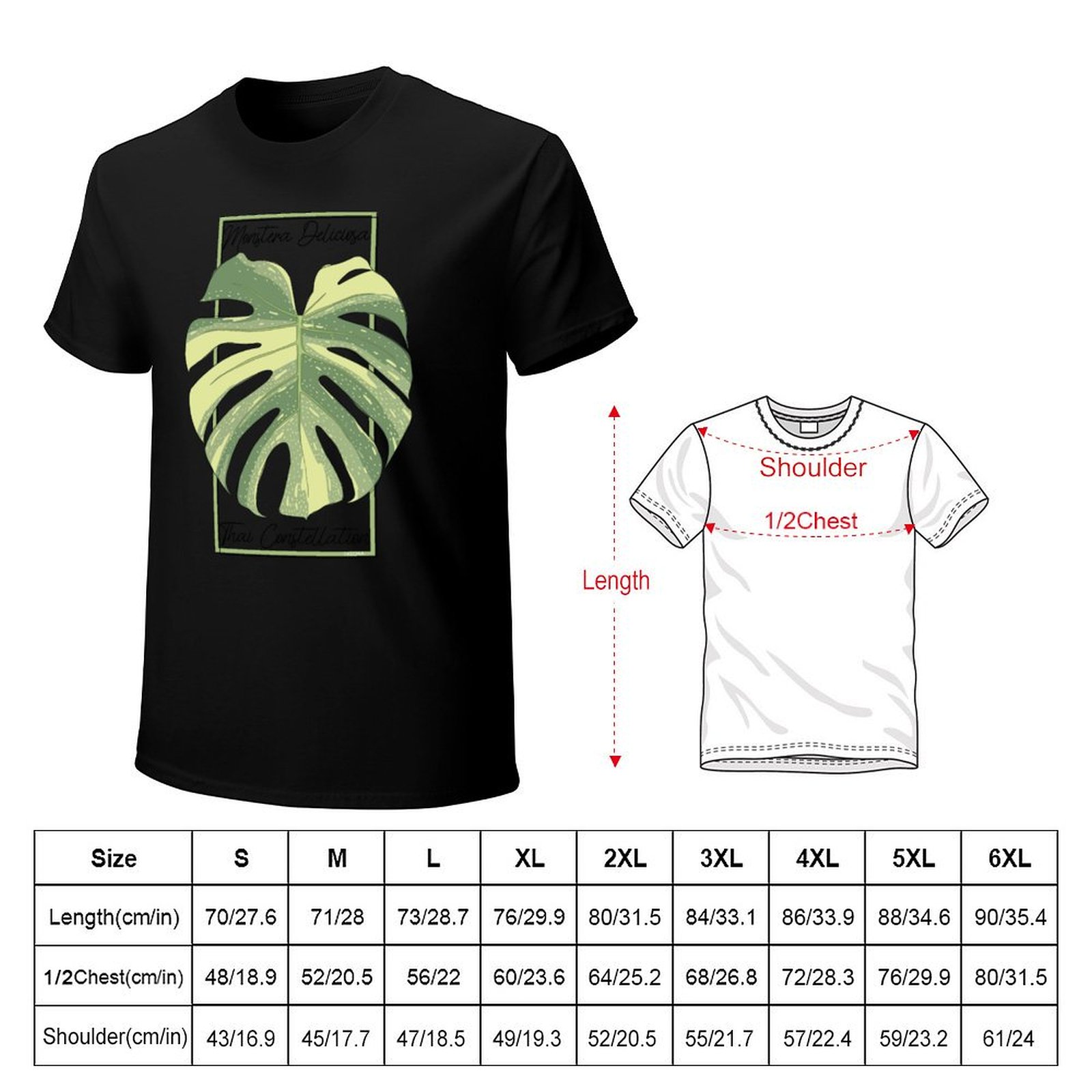 Monstera Thai Constellation Bo – Monstera Thai Constellation Bewertung und Preis