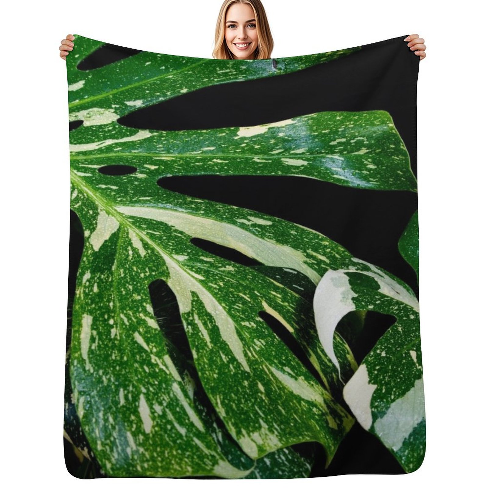 Monstera Thai Constellation Th – Monstera Thai Constellation Bewertung und Preis