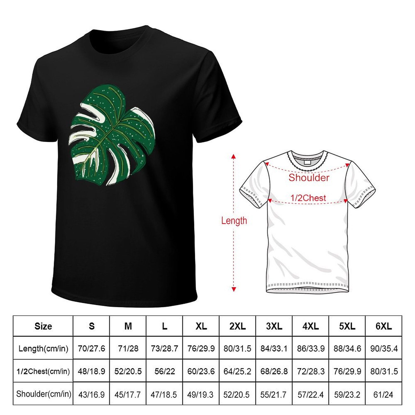 Monstera Thai Constellation T- – Monstera Thai Constellation Bewertung und Preis